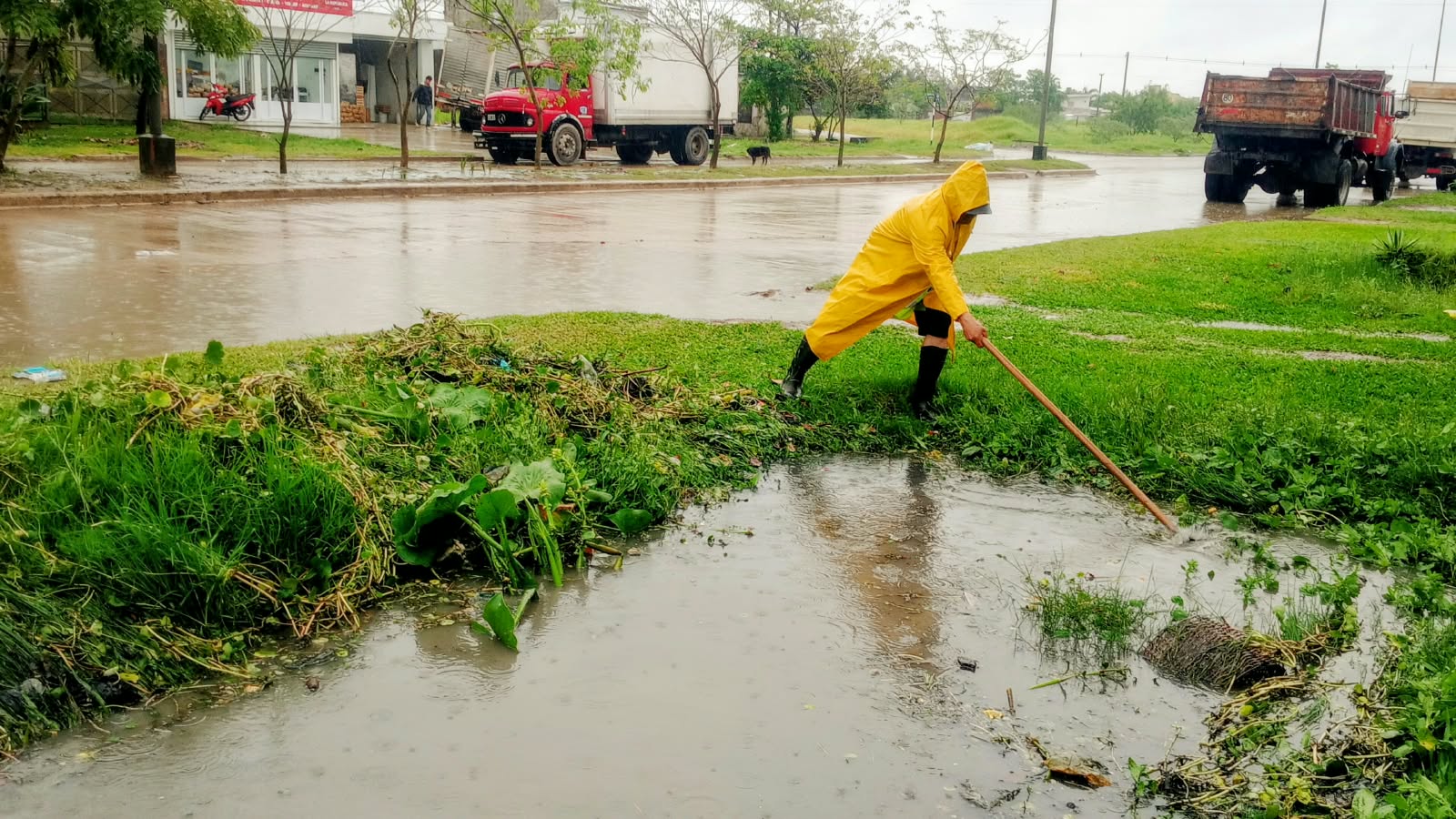 tarea barris lluvia comando.jpeg