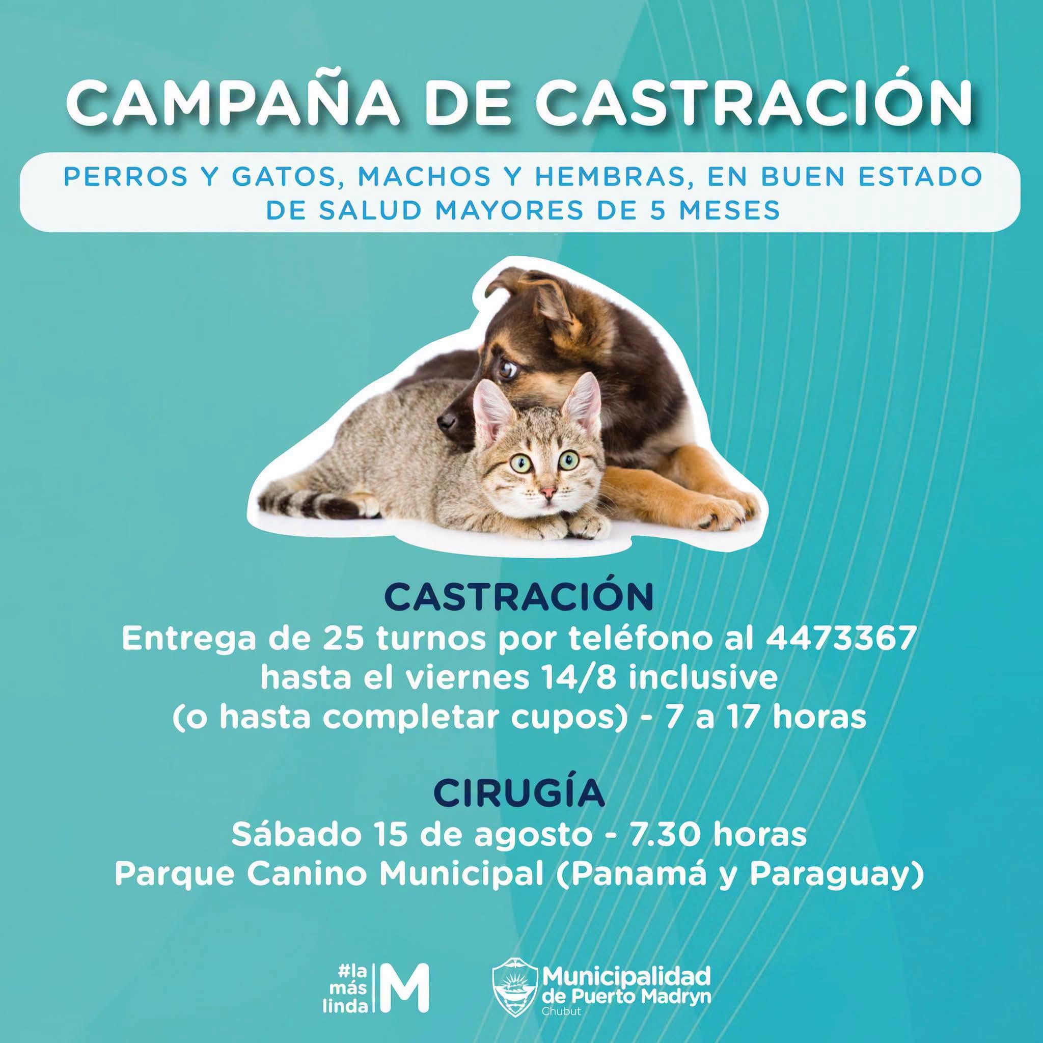 NUEVA JORNADA GRATUITA DE CASTRACIÓN Y VACUNACIÓN