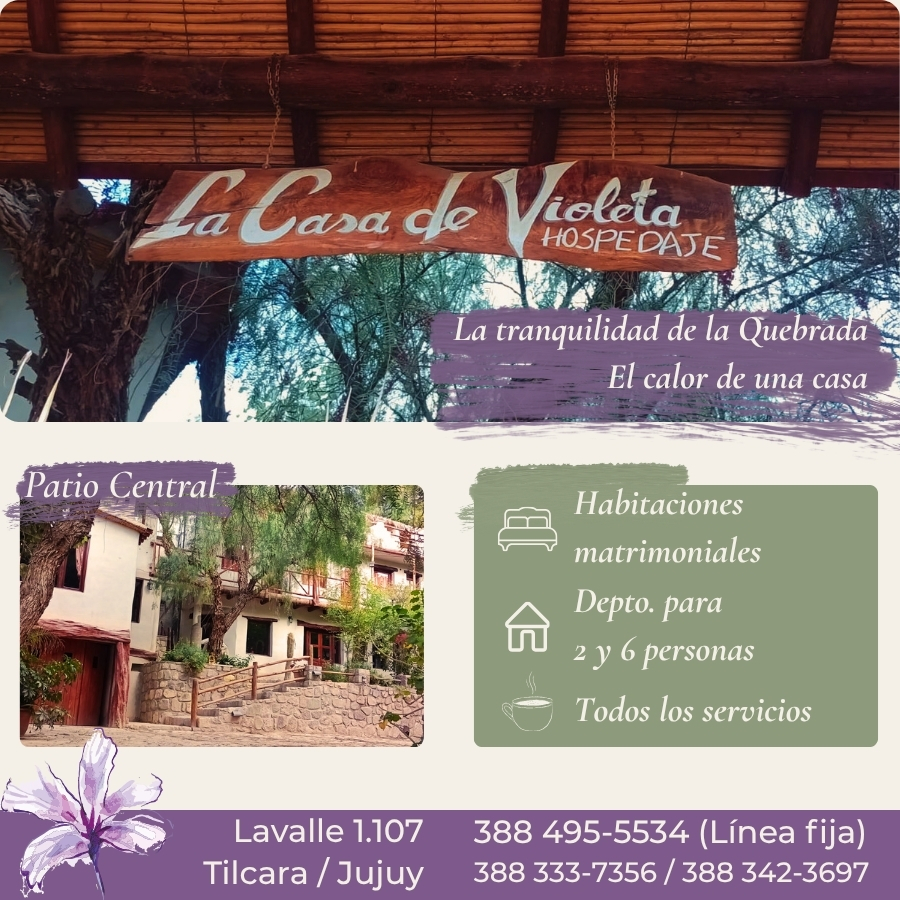 La Casa de Violeta.jpg