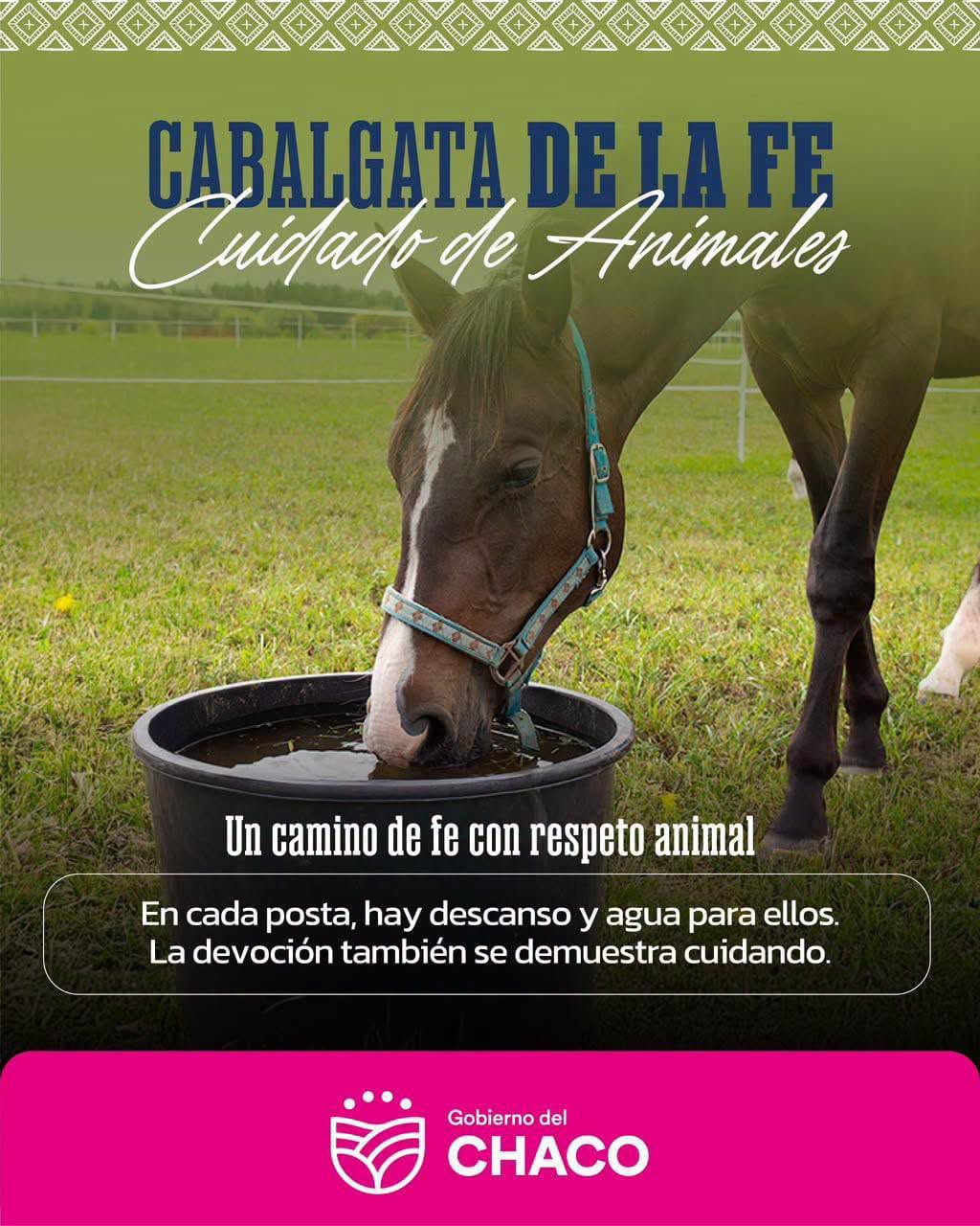 CABALGATA DE LA FE 2026: EL GOBIERNO DEL CHACO REFUERZA EL PLAN DE BIENESTAR ANIMAL PARA PROTEGER A LOS CABALLOS DURANTE LA PEREGRINACIÓN