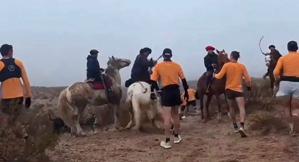 Campos privados: A caballo y con rebencazos, jinetes agredieron a atletas en Río Negro