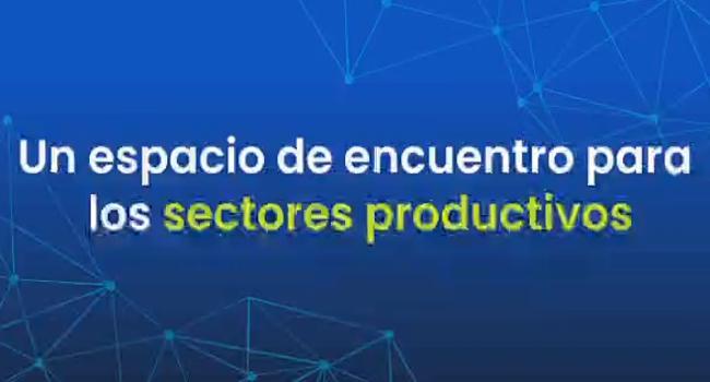 P-EXPO-3