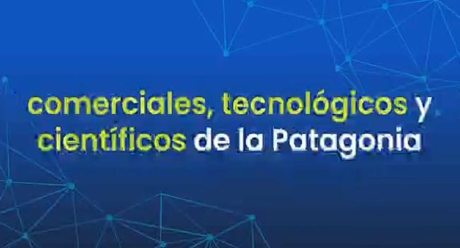 P-EXPO-4