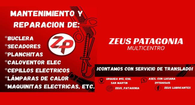 P-ZEUS-2