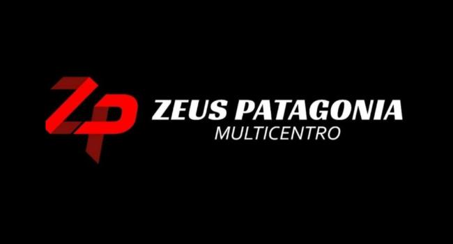 P-ZEUS-4