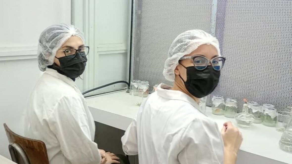 Una becaria chubutense suma herramientas para preservar las coníferas nativas