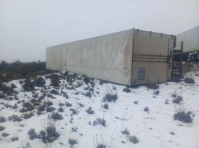 camion2.jpg