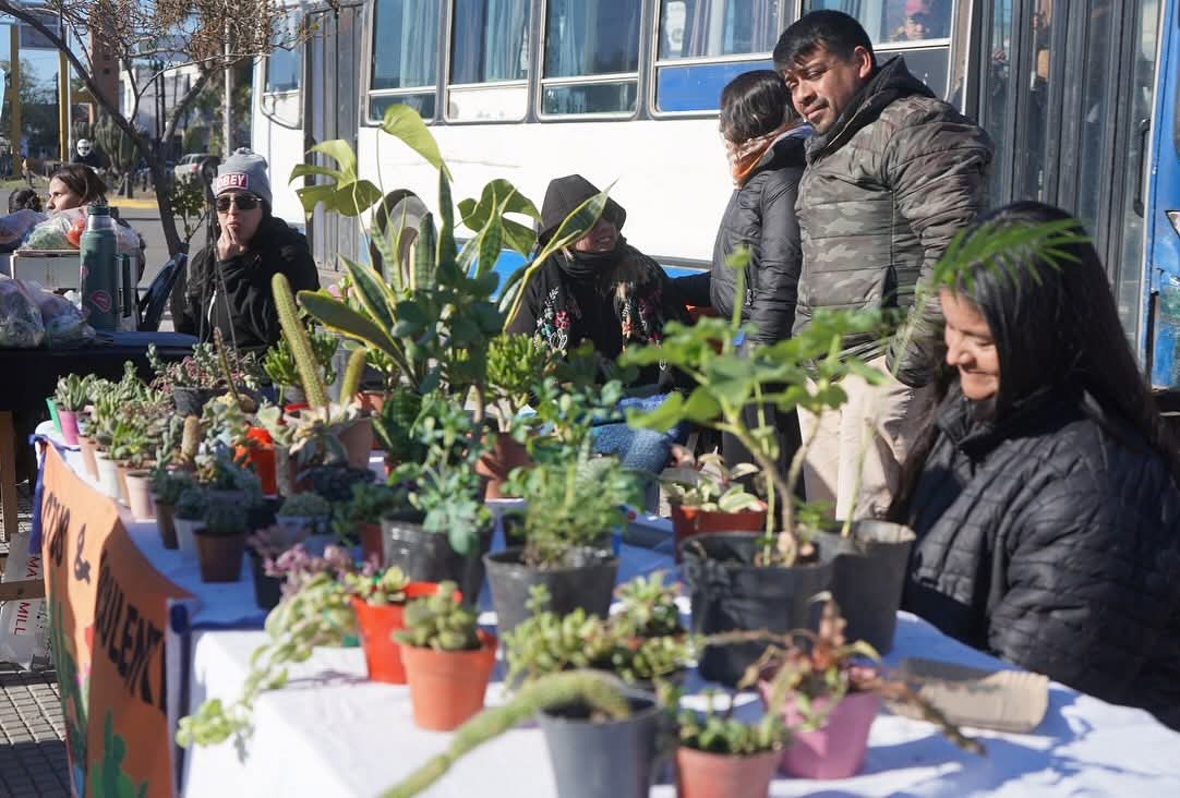 Se realizará una nueva edición del “Mercadito Saludable” en el Paseo Gabriel Ábalos”