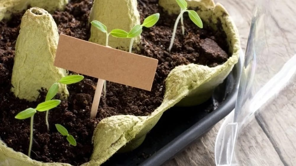La municipalidad invita a participar del taller de elaboración de cuencas ecológicas La municipalidad invita a participar del taller de elaboración de cuencas ecológicas