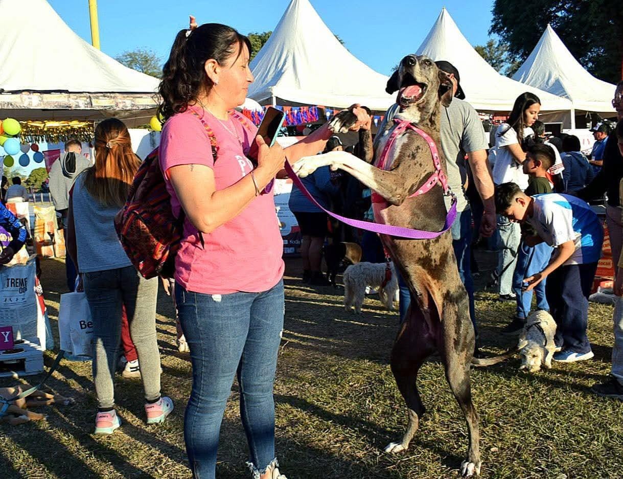 Con un evento de concientización se promocionará la tenencia responsable de mascotas