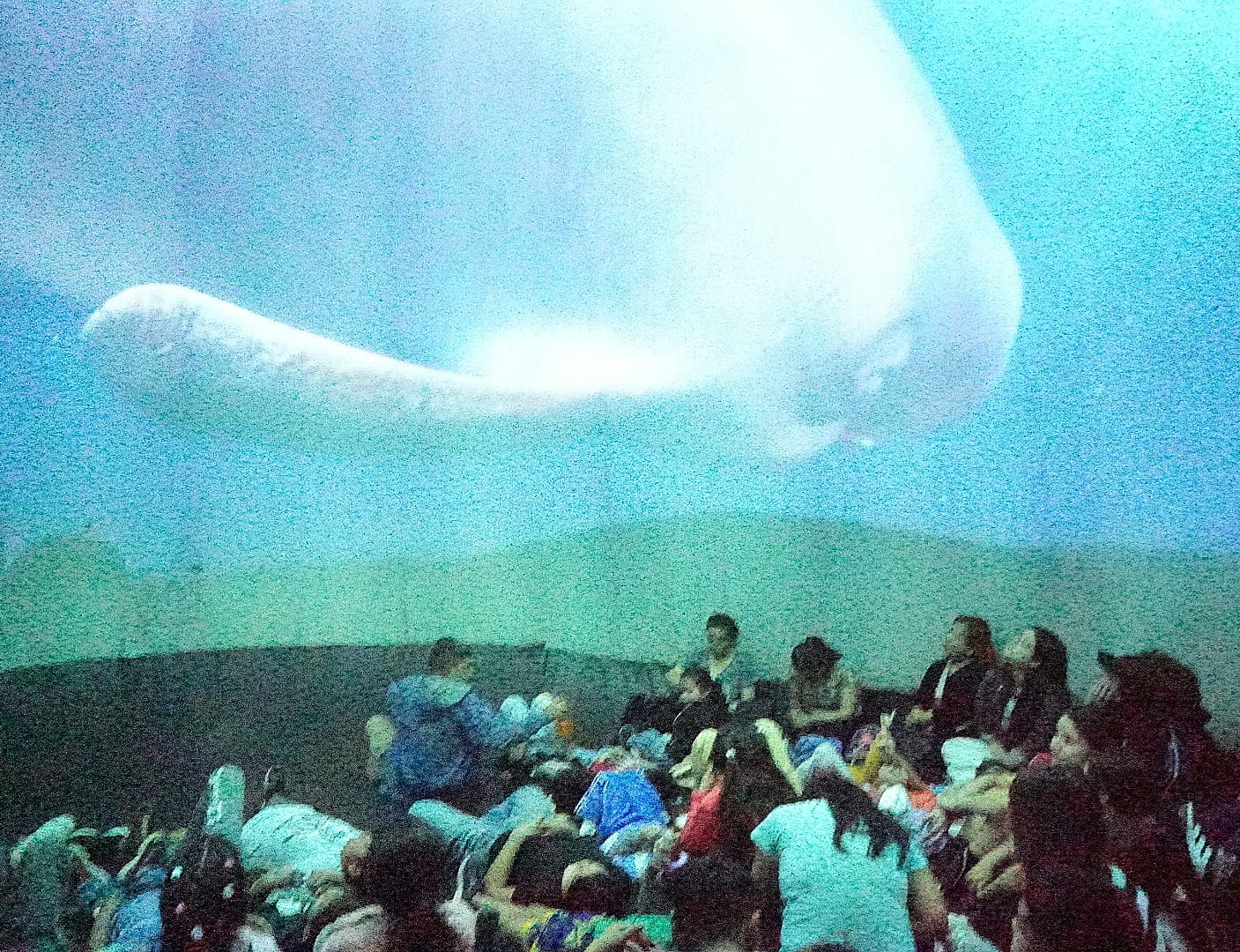 El Planetario Móvil agrega funciones gratuitas en la Casa del Bicentenario