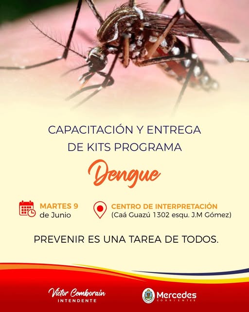 DENGUE.jpg DENGUE.jpg