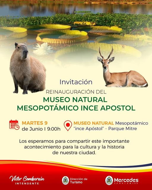 MUSEO.jpg MUSEO.jpg