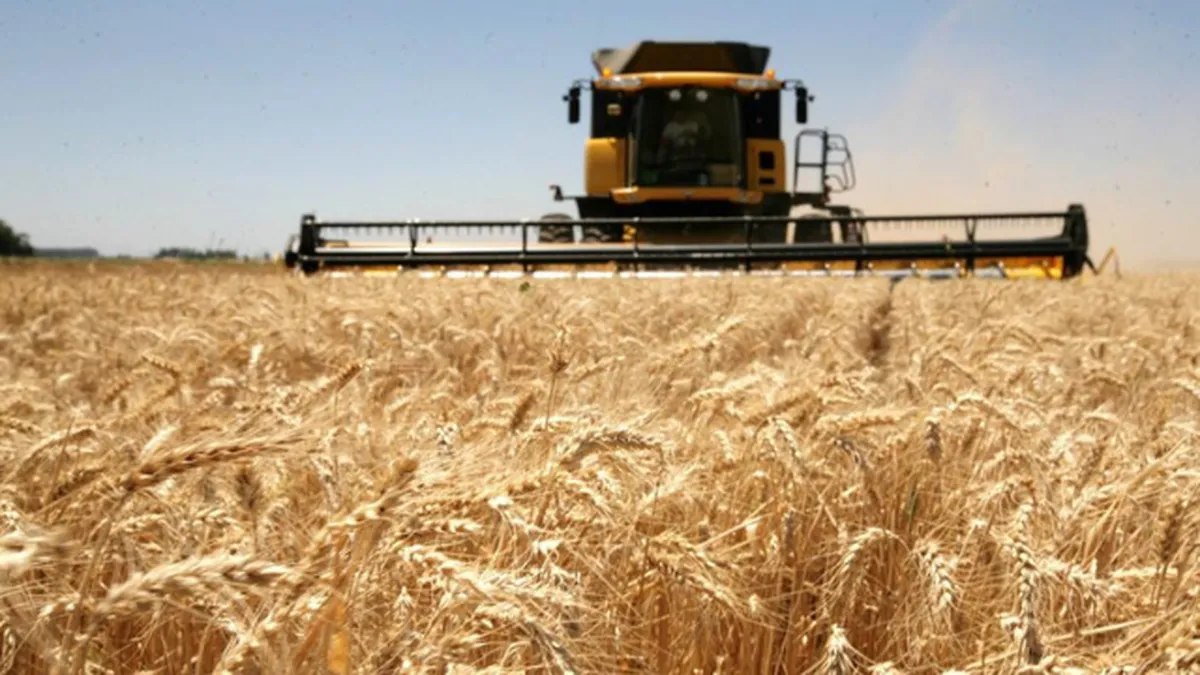 la-produccion-trigo-seria-17-millones-toneladas.webp la-produccion-trigo-seria-17-millones-toneladas.webp