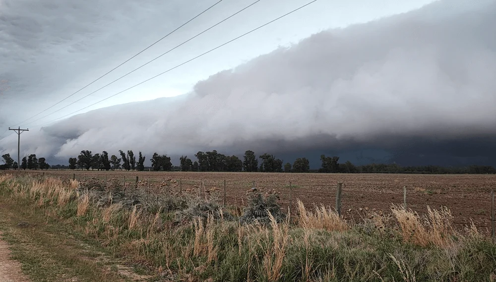 INFO RURAL: CÓMO IMPACTARÁ LA TORMENTA DE SANTA ROSA EN LA REGIÓN AGRÍCOLA