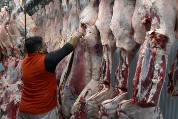 INFO RURAL: LAS EXPORTACIONES DE CARNE VACUNA CRECIERON 42% EN VALOR EN LOS PRIMEROS SIETE MESES DEL AÑO INFO RURAL: LAS EXPORTACIONES DE CARNE VACUNA CRECIERON 42% EN VALOR EN LOS PRIMEROS SIETE MESES DEL AÑO