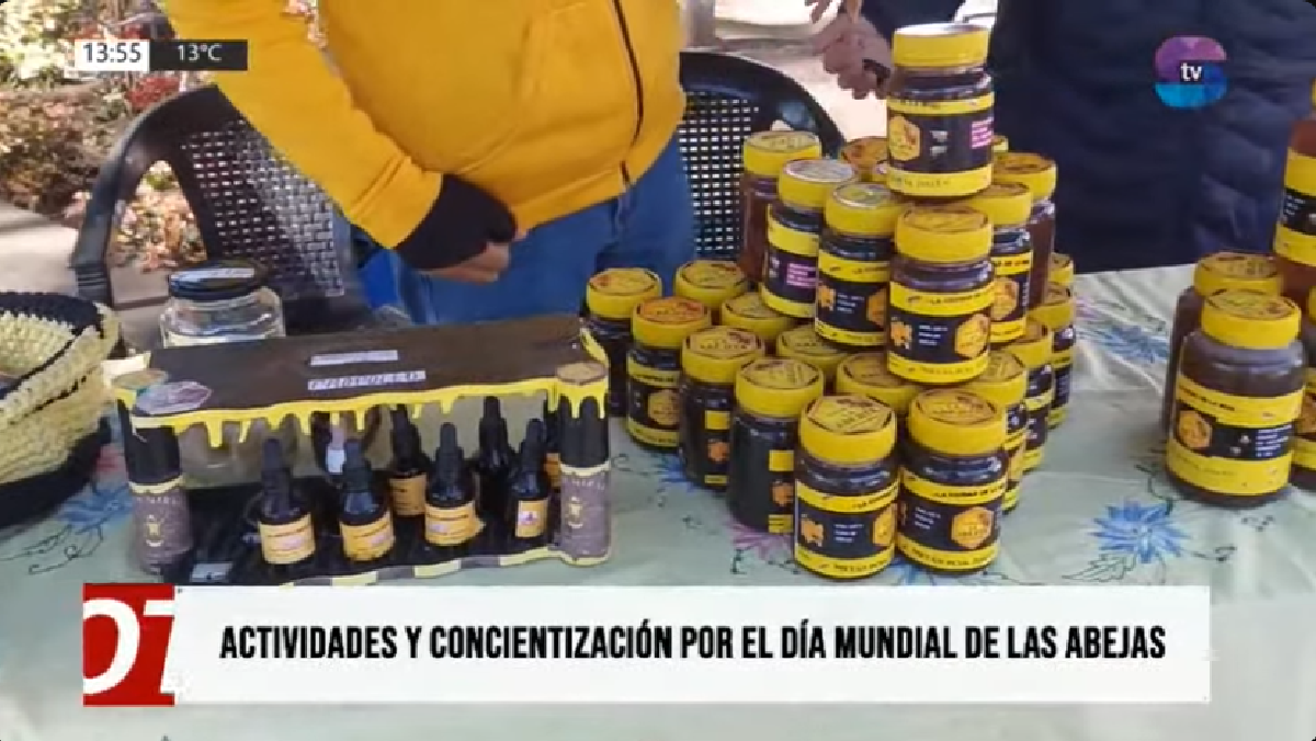 APICULTURA.png APICULTURA.png