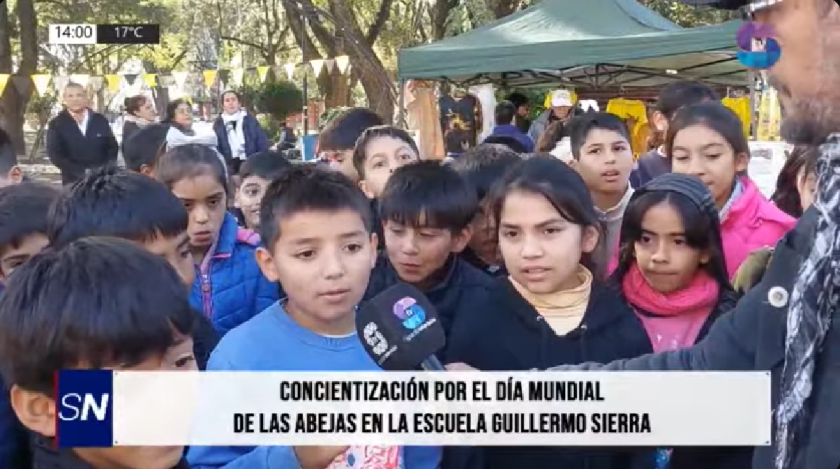 En una mañana sobre abejas, los chicos terminaron dando la mejor lección En una mañana sobre abejas, los chicos terminaron dando la mejor lección
