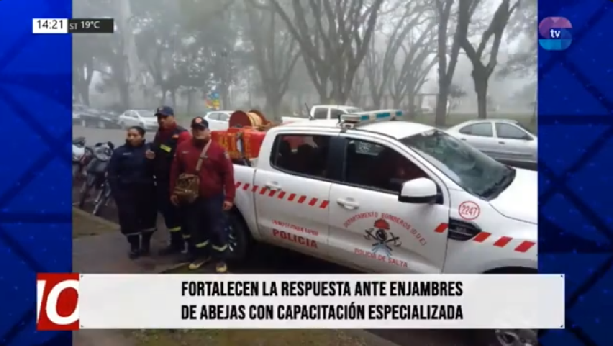 Bomberos Rio Piedras.png Bomberos Rio Piedras.png