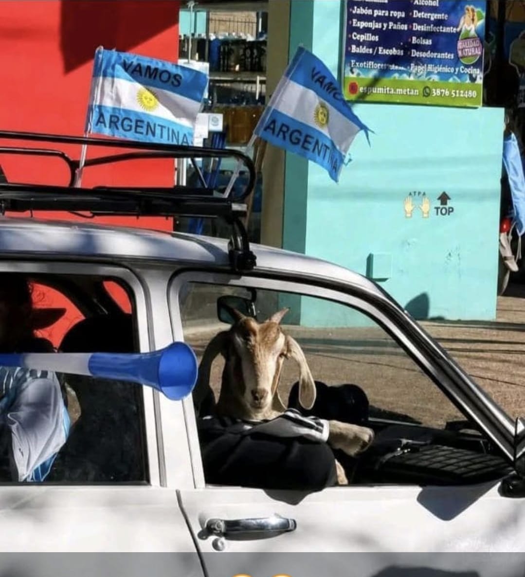 Cabra.jpeg Cabra.jpeg