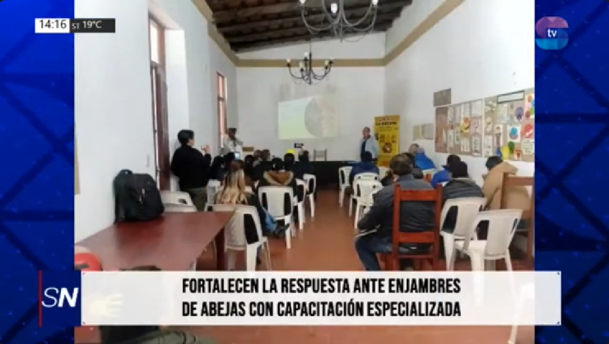 Capacitación - Ambiente.png Capacitación - Ambiente.png