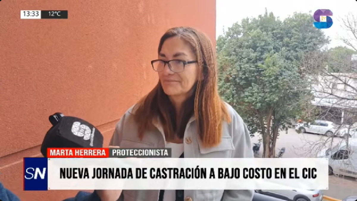 Castraciones a .000 en Metán: habilitan turnos para perros y gatos Castraciones a .000 en Metán: habilitan turnos para perros y gatos