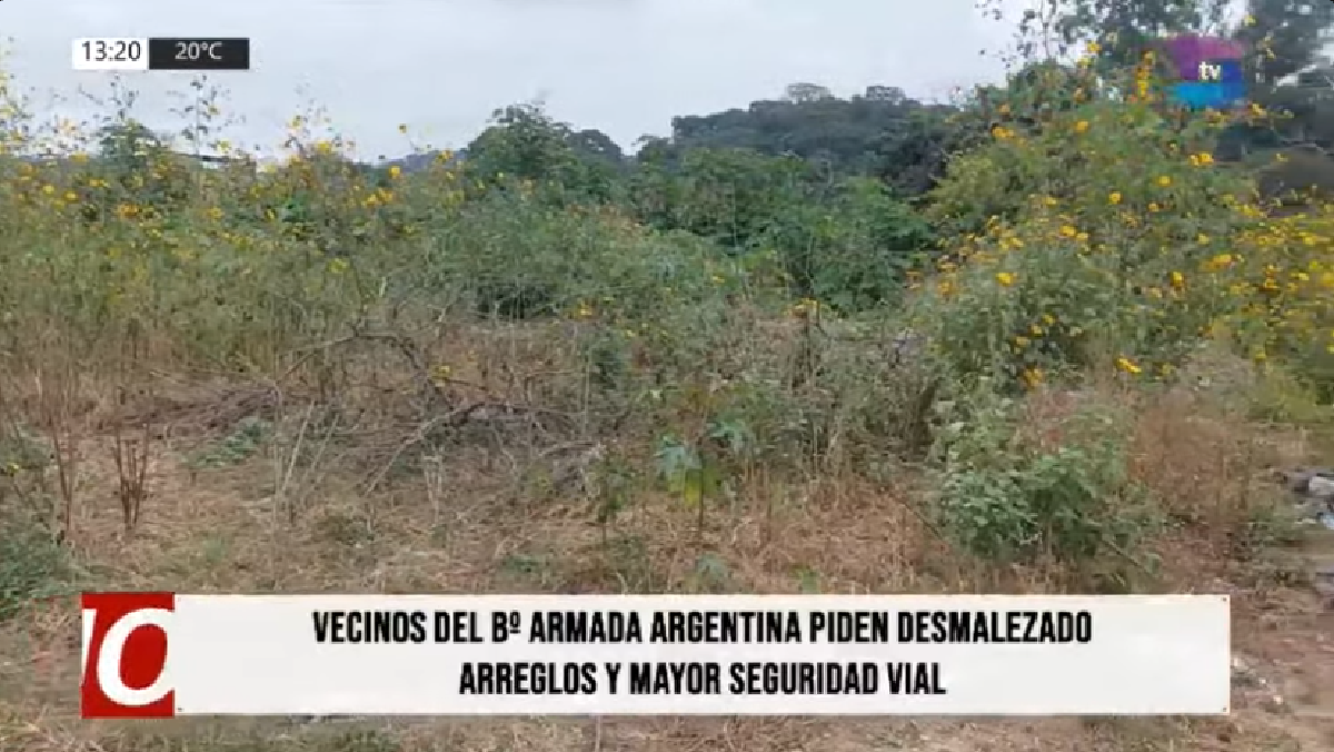 Desmalezado.png Desmalezado.png