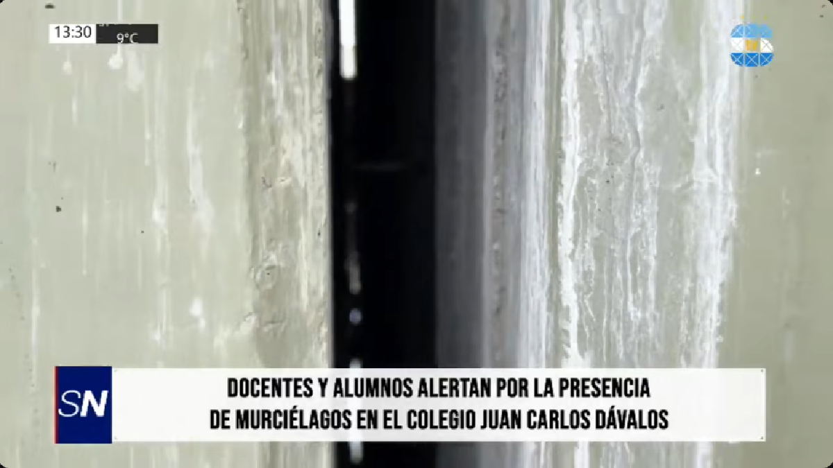Murciélagos.png Murciélagos.png