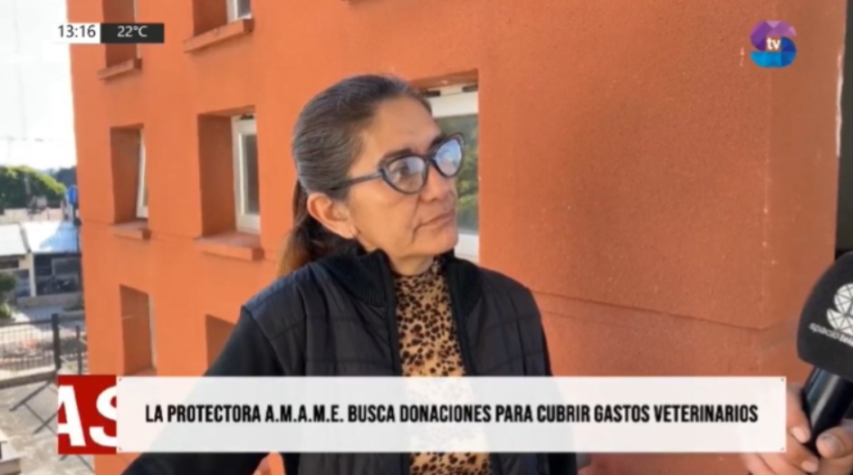 ÁMAME pide apoyo para continuar rescatando animales abandonados en Metán ÁMAME pide apoyo para continuar rescatando animales abandonados en Metán