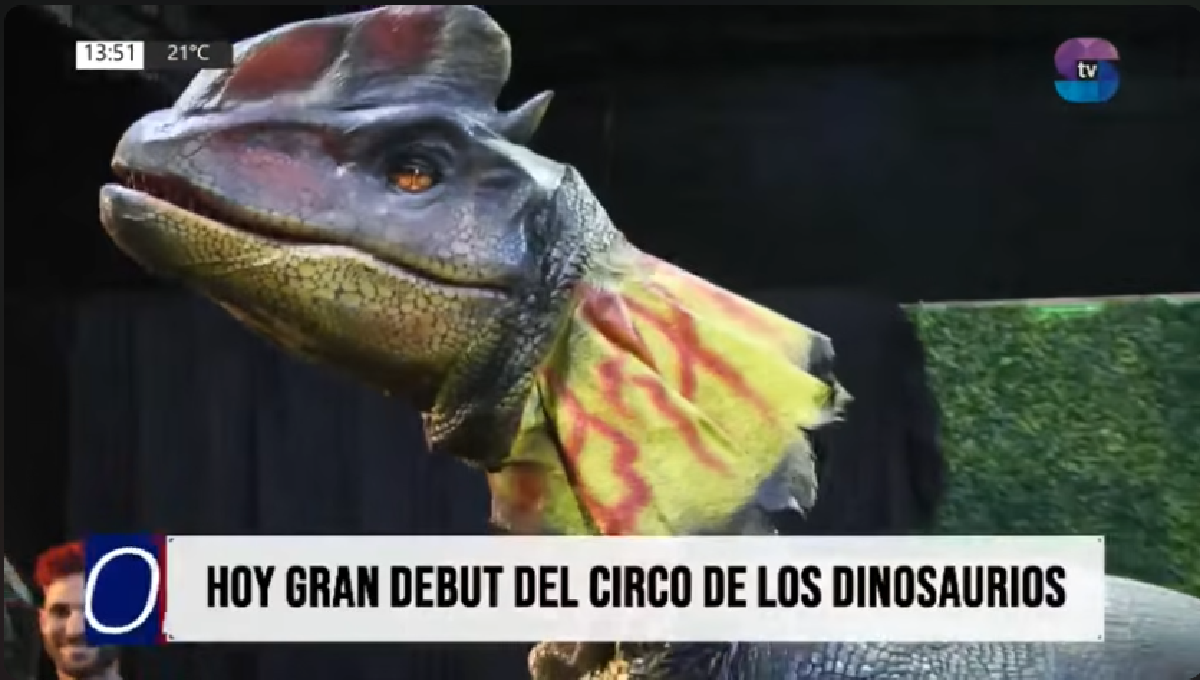 dino.png dino.png