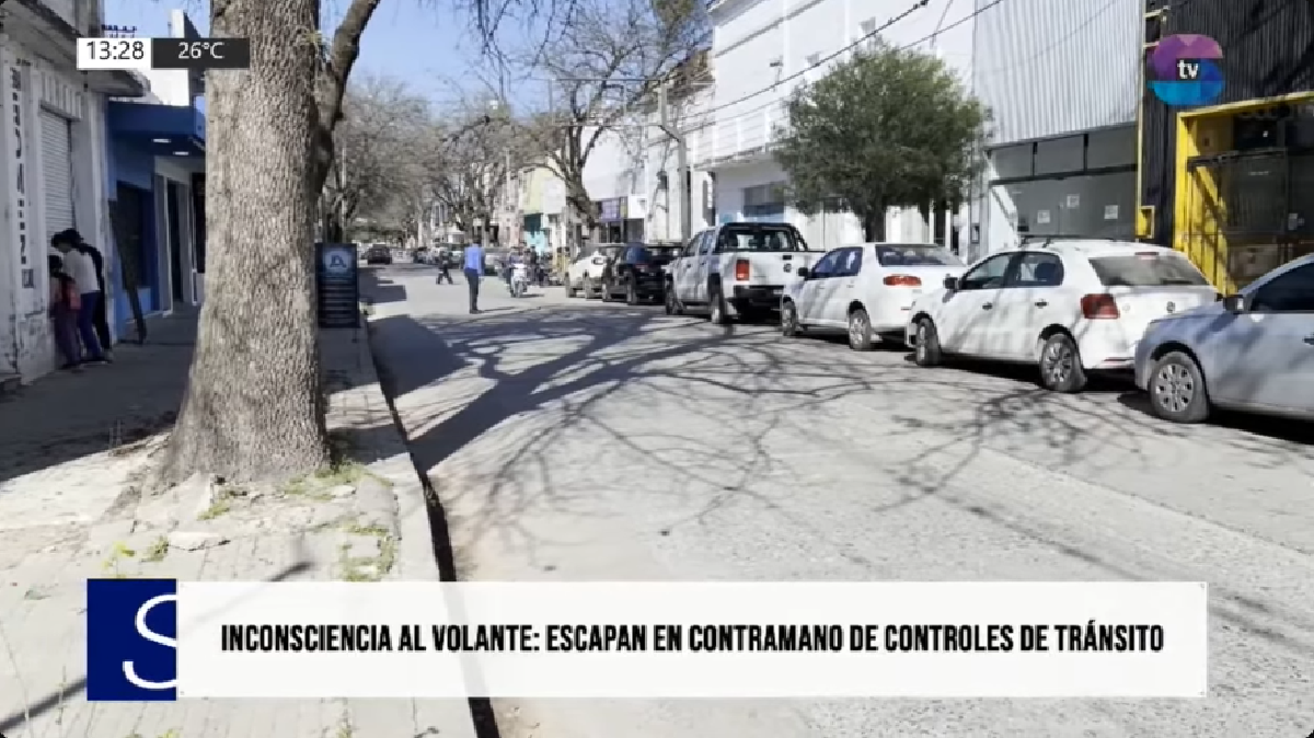 seg vial.png seg vial.png
