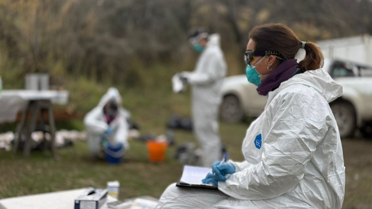 LA PROVINCIA Y EL MALBRÁN CONCLUYERON EL OPERATIVO DE VIGILANCIA POR HANTAVIRUS EN USHUAIA