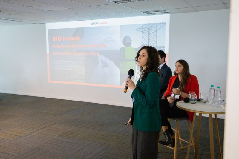 TIERRA DEL FUEGO PRESENTÓ EN EL CFI UN PROYECTO PARA CONVERTIR AL PUERTO DE USHUAIA EN UNA TERMINAL CON ENERGÍA LIMPIA